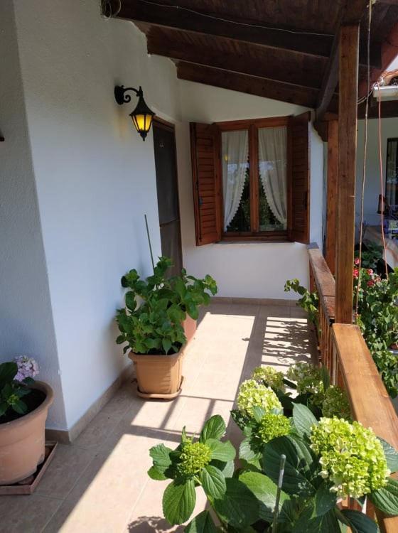 Ivonnis Garden Villa Mesimvria  Ngoại thất bức ảnh