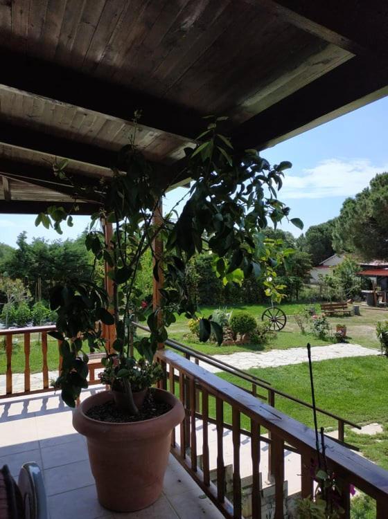 Ivonnis Garden Villa Mesimvria  Ngoại thất bức ảnh