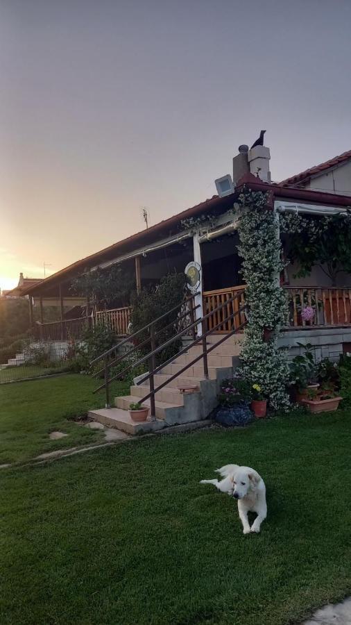 Ivonnis Garden Villa Mesimvria  Ngoại thất bức ảnh
