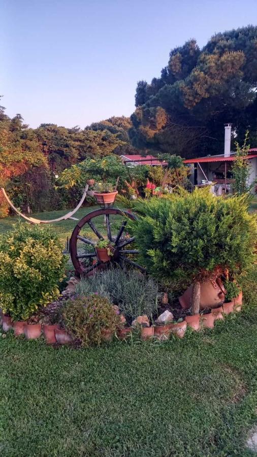 Ivonnis Garden Villa Mesimvria  Ngoại thất bức ảnh