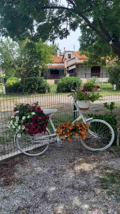 Ivonnis Garden Villa Mesimvria  Ngoại thất bức ảnh